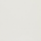 White White